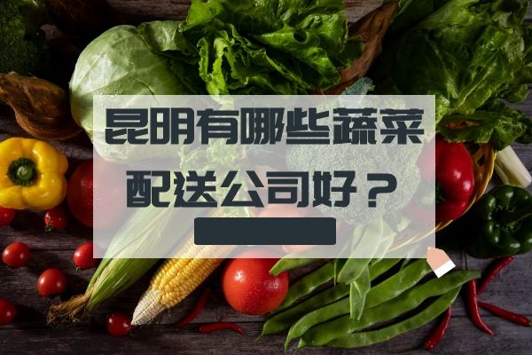 昆明有哪些蔬菜配送公司好？