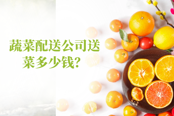 蔬菜配送公司送菜多少錢？